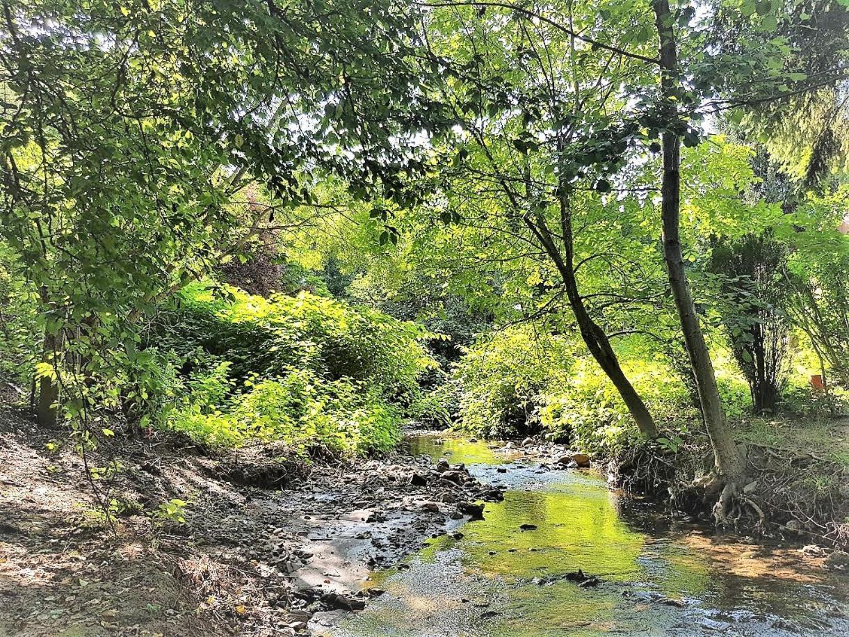 Muskátli Vendégház Parád Extérieur photo